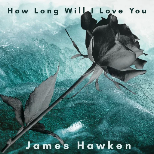 How Long Will I Love You Assets cover art